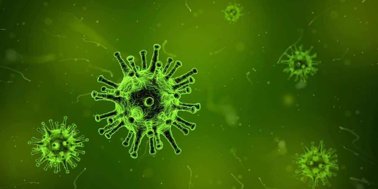 Photo d'un virus provenant d'un microscope avec une coloration verte
