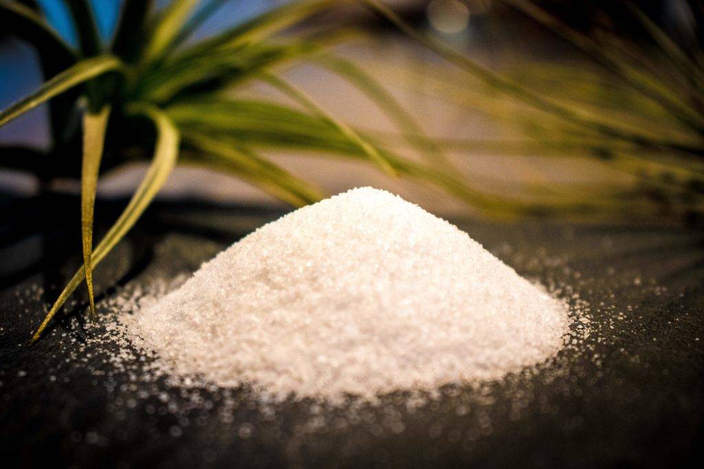 Sodium, effets sur la santé et recommandations - Naturopathe Strasbourg